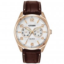 Buy Citizen Eco-Drive Silver Tone Men from