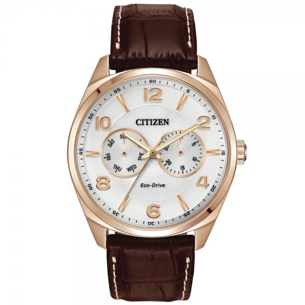 Buy Citizen Eco-Drive Silver Tone Men from